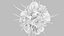 Dendritic Cell