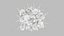 Dendritic Cell