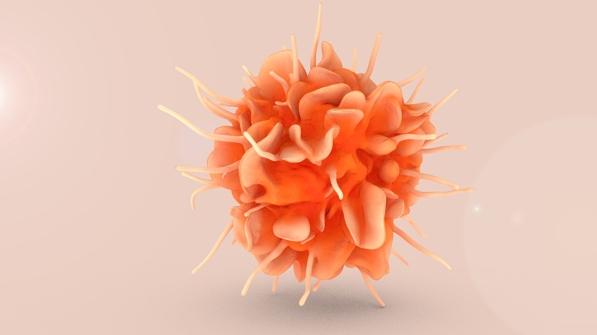 Dendritic Cell model https://p.turbosquid.com/ts-thumb/Up/dngAYB/fU/dcell_color/jpg/1713362994/1920x1080/fit_q87/e4328d76b591155e54e48315402708260b1ea3d1/dcell_color.jpg