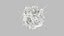 Dendritic Cell