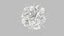 Dendritic Cell