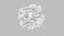 Dendritic Cell