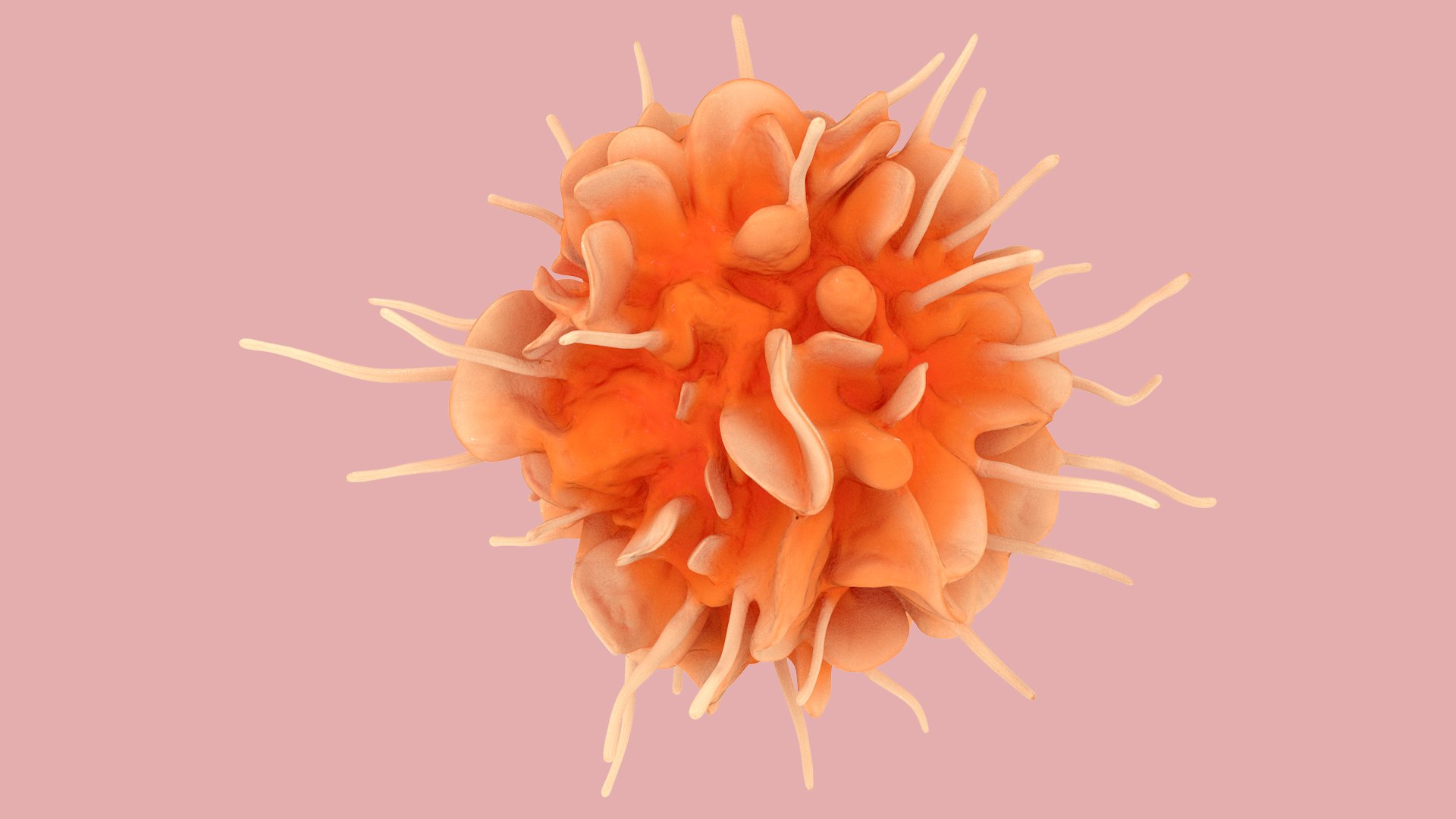 Dendritic Cell model https://p.turbosquid.com/ts-thumb/Up/dngAYB/sH/dendriticcell_0009/jpg/1713304935/1920x1080/fit_q87/19ae90bb1de8cf02439b88bb616cc15c41923be1/dendriticcell_0009.jpg