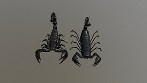 Scorpions 3D model