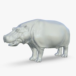 3D model Hippopotamus