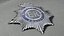 British Metropolitan Police Badge