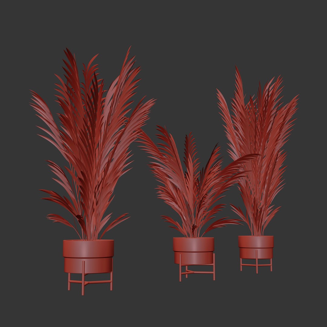 3D Palm plants 2 https://p.turbosquid.com/ts-thumb/Uq/1TQ25P/mS/big_7/jpg/1638373752/1920x1080/fit_q87/09eb881c75186416759213514f5d22262e8f0df8/big_7.jpg