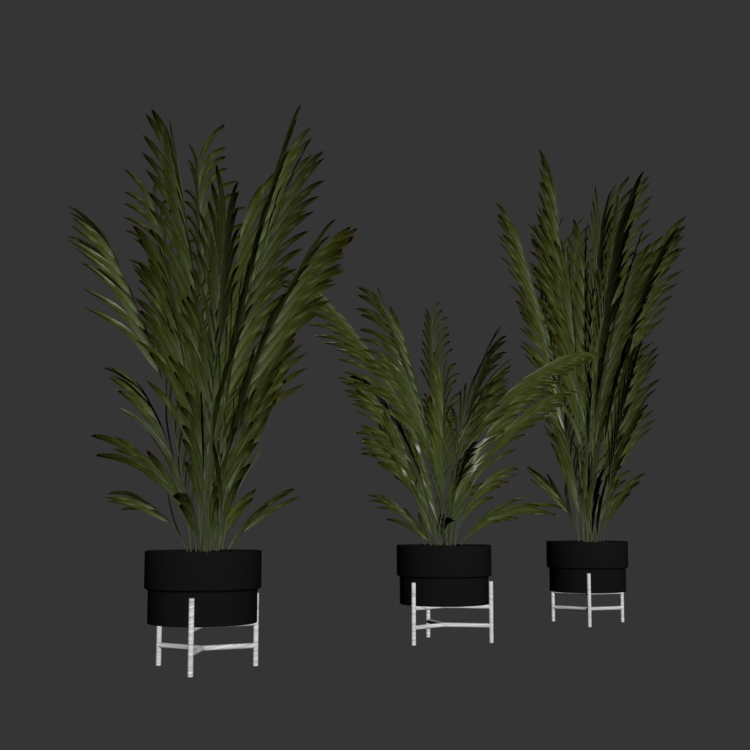3D Palm plants 2 https://p.turbosquid.com/ts-thumb/Uq/1TQ25P/v0/big_6/jpg/1638373752/1920x1080/fit_q87/b5af031a431896847c6ca17389e6d5d978319208/big_6.jpg