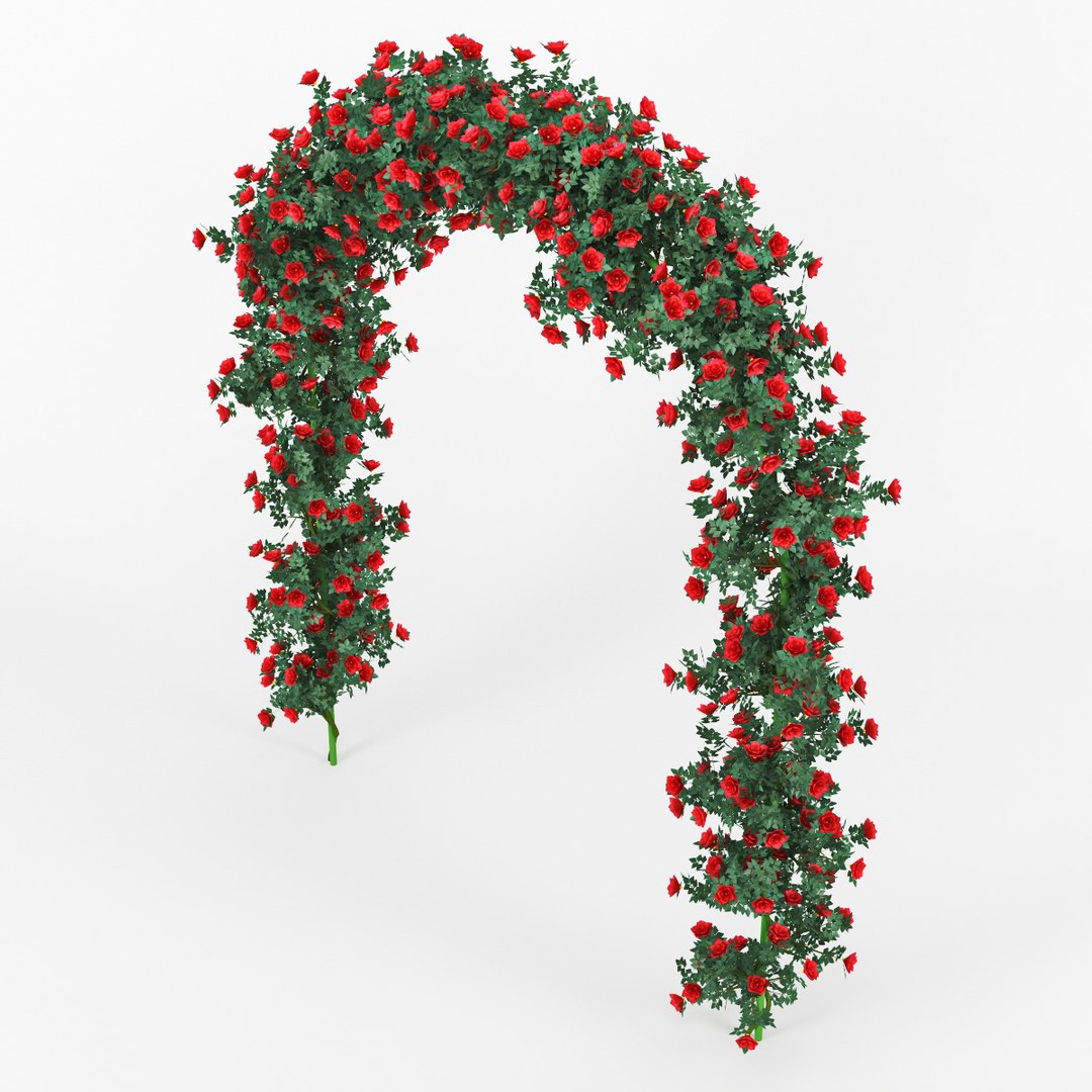 rose arch 3d model https://p.turbosquid.com/ts-thumb/Uq/BYhTLq/BlxmvI8F/preview_3/jpg/1450528261/1920x1080/fit_q87/8c3929139e11c8f7f78849deca8fbb31fb137af6/preview_3.jpg