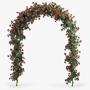 Rose Arch