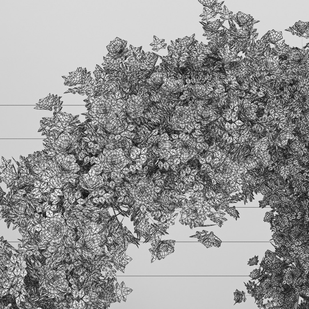 rose arch 3d model https://p.turbosquid.com/ts-thumb/Uq/BYhTLq/pwQWh6Qh/preview_6/jpg/1450528261/1920x1080/fit_q87/9f3607e2d98ee36c1e0d767dfd6b24e2fcb019c1/preview_6.jpg
