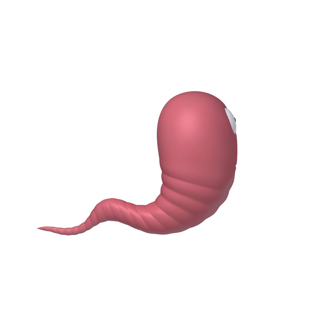 3D worm cartoon https://p.turbosquid.com/ts-thumb/Uq/QC04ef/7C/03/jpg/1610276460/1920x1080/fit_q87/4b0bbcd9596f8e0c4b9e020028cf97215326587f/03.jpg