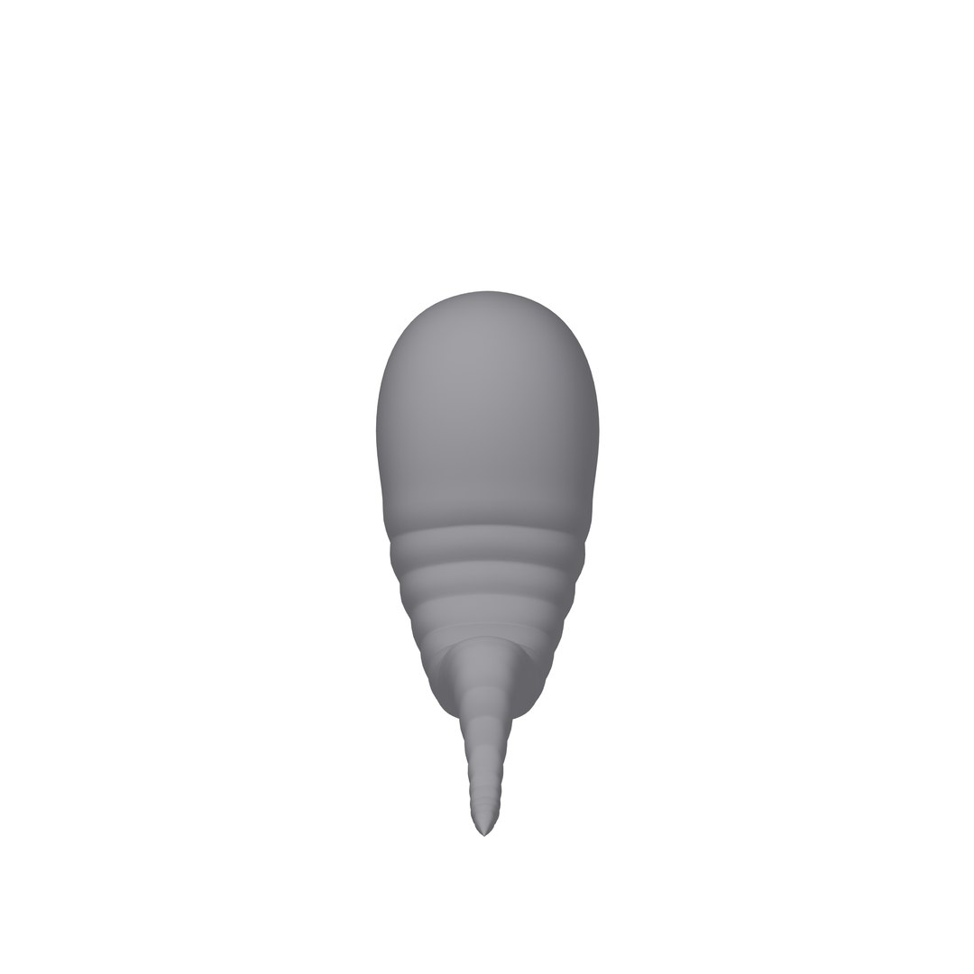 3D worm cartoon https://p.turbosquid.com/ts-thumb/Uq/QC04ef/eN/12/jpg/1610276462/1920x1080/fit_q87/a32f6ef4c97a6ac6b1e1131adaf63e5adcee327b/12.jpg