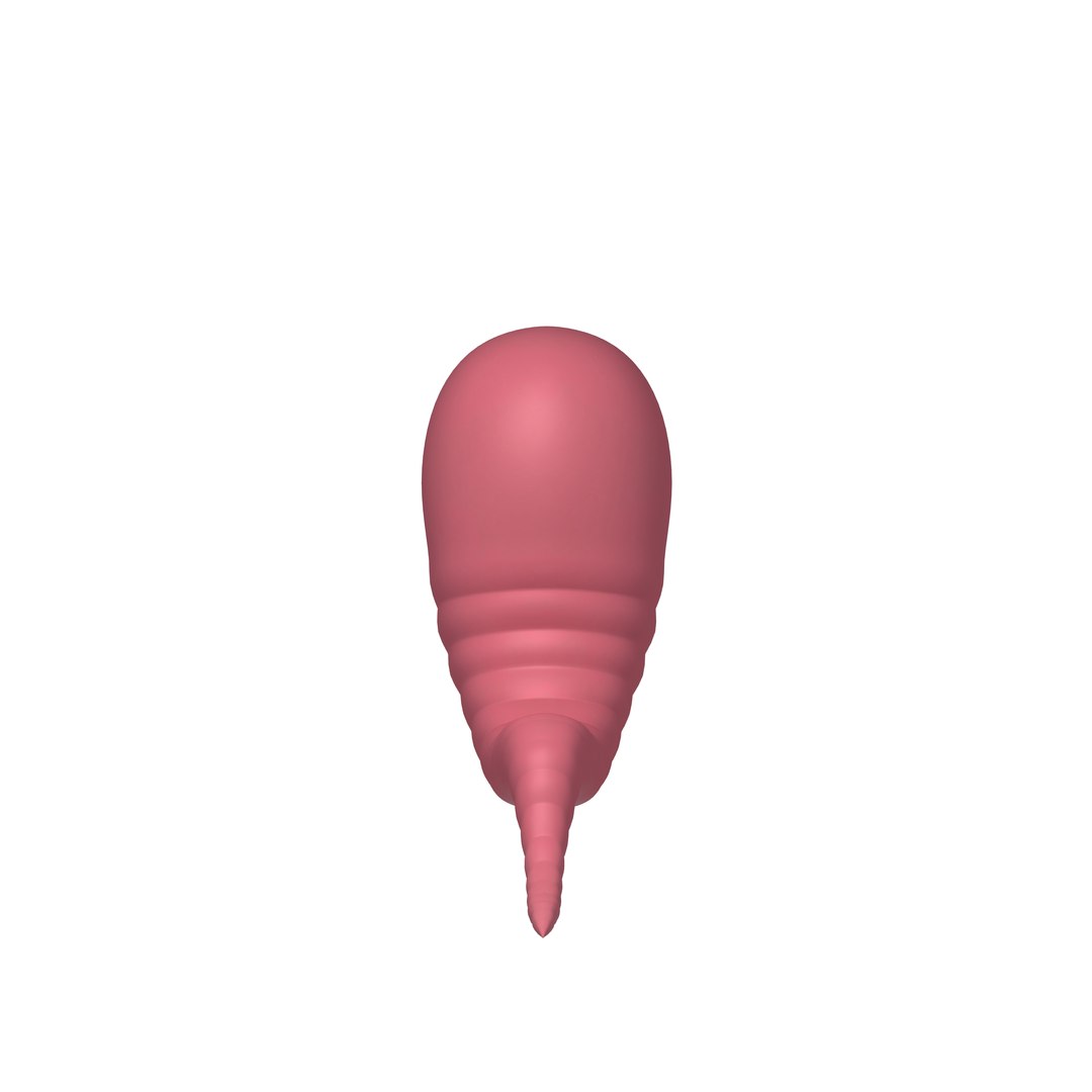 3D worm cartoon https://p.turbosquid.com/ts-thumb/Uq/QC04ef/tK/04/jpg/1610276460/1920x1080/fit_q87/75e9ea1fd58e814455427709778effb50ace623d/04.jpg