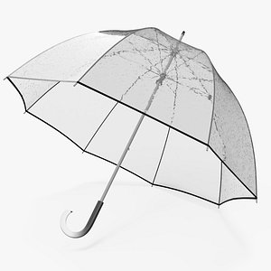 Bubble Umbrella Wet