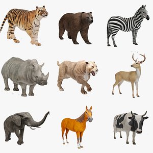 Realistic Wildlife and Farm Animals Collection
