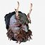 Hans Trapp mask