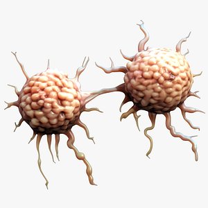 3D Cancer Cell Tumor