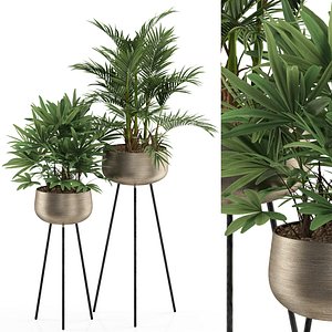 3D Plants collection 514 model