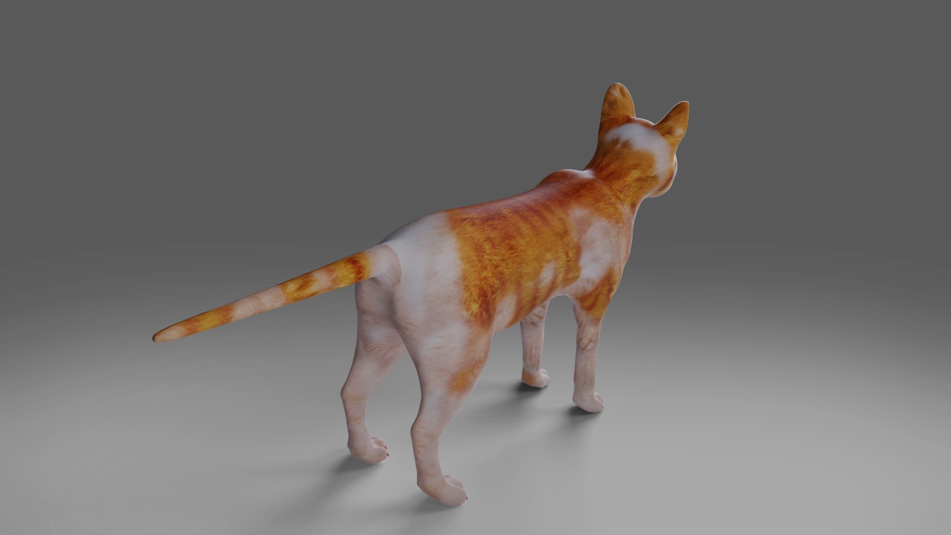 3D Calico Cat Rigged V2 in Blender https://p.turbosquid.com/ts-thumb/Uq/jD9Q0N/cB/08/jpg/1668005353/1920x1080/fit_q87/52370ad8df560f14596fce1a5c73148a03eb19f8/08.jpg