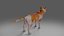 Calico Cat Rigged V2 w Blenderze