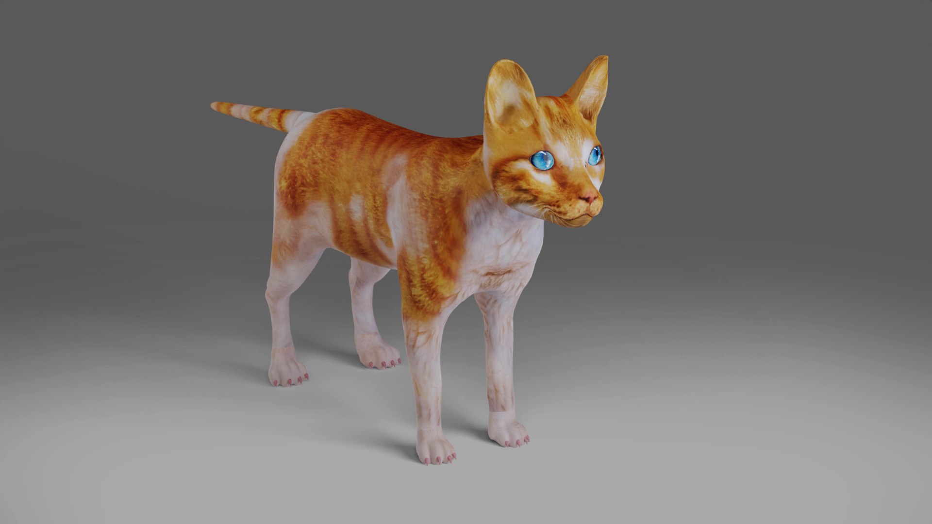 3D Calico Cat Rigged V2 in Blender https://p.turbosquid.com/ts-thumb/Uq/jD9Q0N/d7/05/jpg/1668005349/1920x1080/fit_q87/403097d8115259e154a972d85e4dd5c1ea8452a8/05.jpg