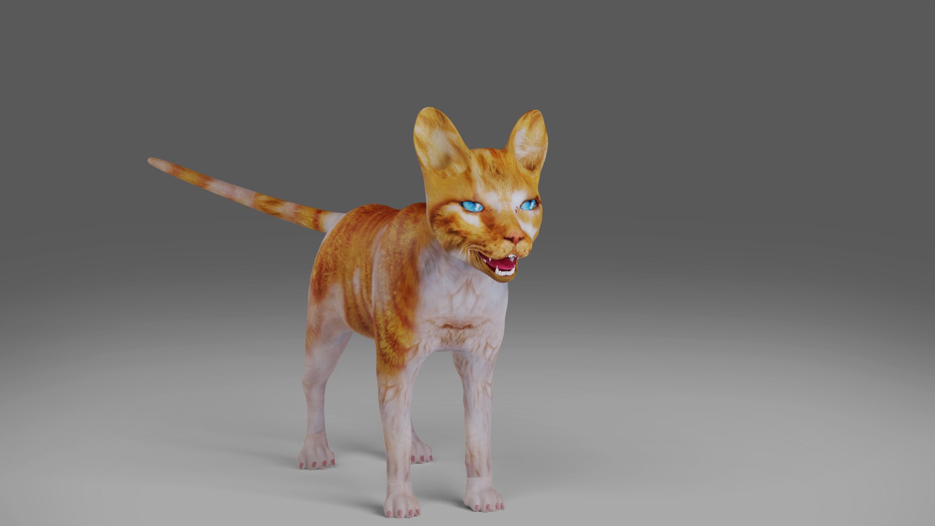 3D Calico Cat Rigged V2 in Blender https://p.turbosquid.com/ts-thumb/Uq/jD9Q0N/gA/04/jpg/1668005346/1920x1080/fit_q87/f280e819ddbce10f2f9be7cb650a7187a0387b46/04.jpg