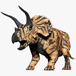 Triceratops Sculpt Project 3D