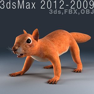 squirrel max