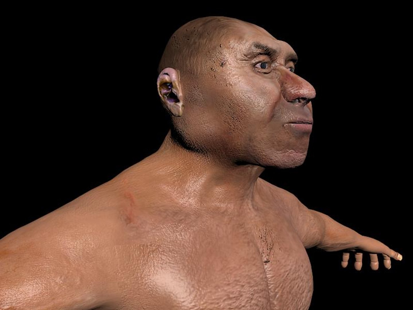 Neanderthal T-Pose Fur 3D model - TurboSquid 2089909