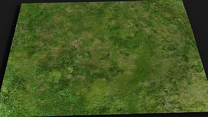 grass field area drone scan PBR photogrammetry model
