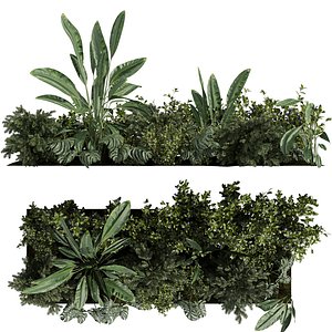plant vol 917 - garden - banana - monstera - abies model