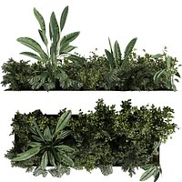 plant vol 917 - garden - banana - monstera - abies