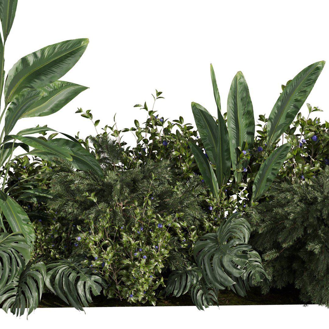 plant vol 917 - garden - banana - monstera - abies model https://p.turbosquid.com/ts-thumb/Ur/APvM7H/Zq/3/jpg/1782270046/1920x1080/fit_q87/1e9660be3d607843be478e1b344204d67536c0bc/3.jpg
