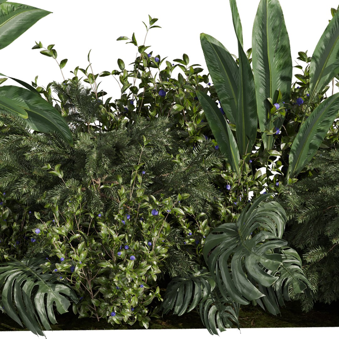 plant vol 917 - garden - banana - monstera - abies model https://p.turbosquid.com/ts-thumb/Ur/APvM7H/qR/5/jpg/1782270058/1920x1080/fit_q87/becd2bac0c7d7eca2181b912a915262637784d17/5.jpg