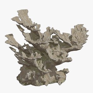 Elkhorn Coral Low  Poly - 3ds max Standard 3D