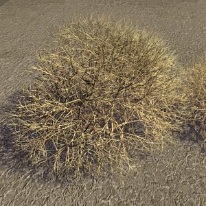 V01Tumbleweeds