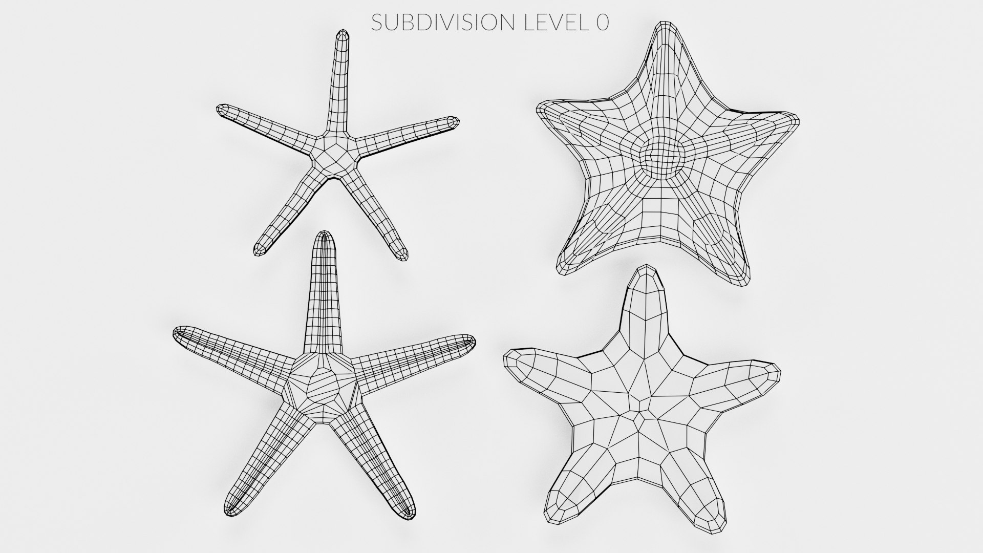 starfish star fish 3D https://p.turbosquid.com/ts-thumb/Ur/Q07h6n/3l/starfishesw2/png/1615907373/1920x1080/fit_q87/41770aa2b52a33d15880267f8d17a3cf64e50b4b/starfishesw2.jpg