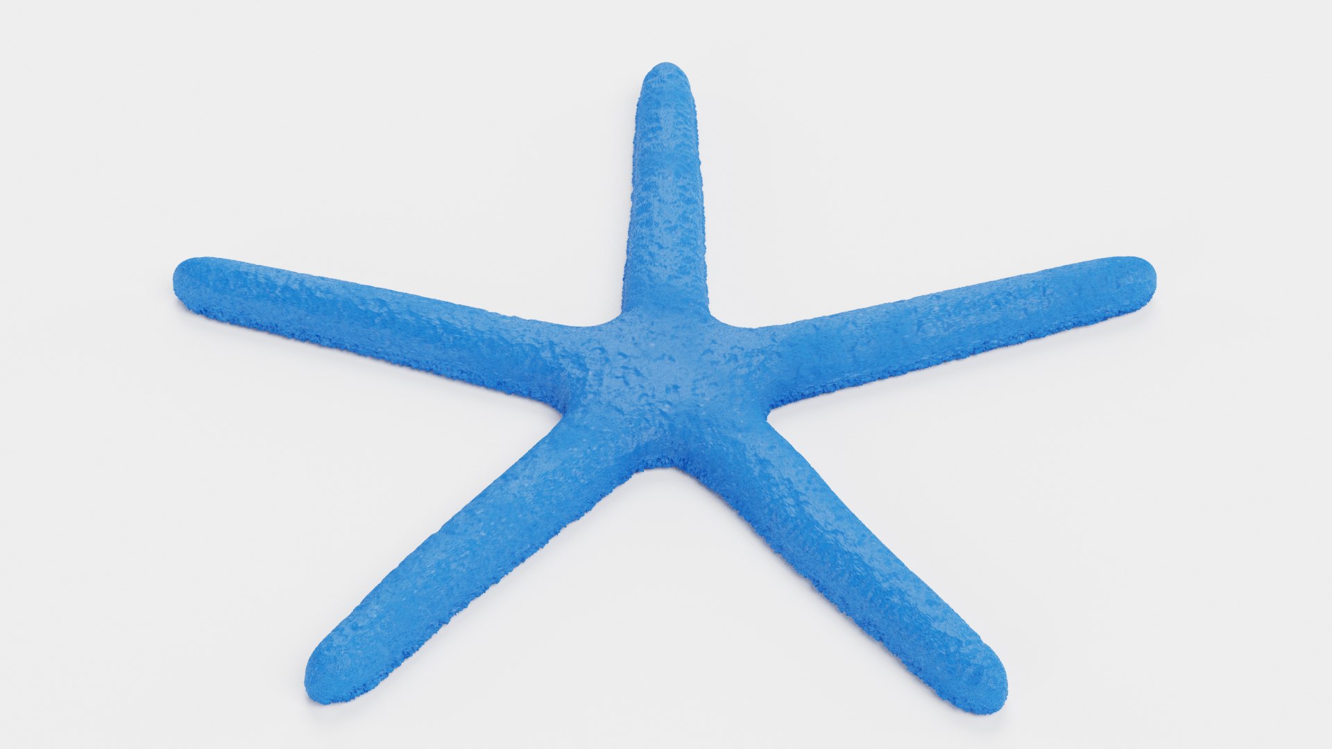 starfish star fish 3D https://p.turbosquid.com/ts-thumb/Ur/Q07h6n/9R/starfishesj/png/1615907382/1920x1080/fit_q87/a17bff1cc7ce34cb08ffaa41efedd436b6c54a6f/starfishesj.jpg