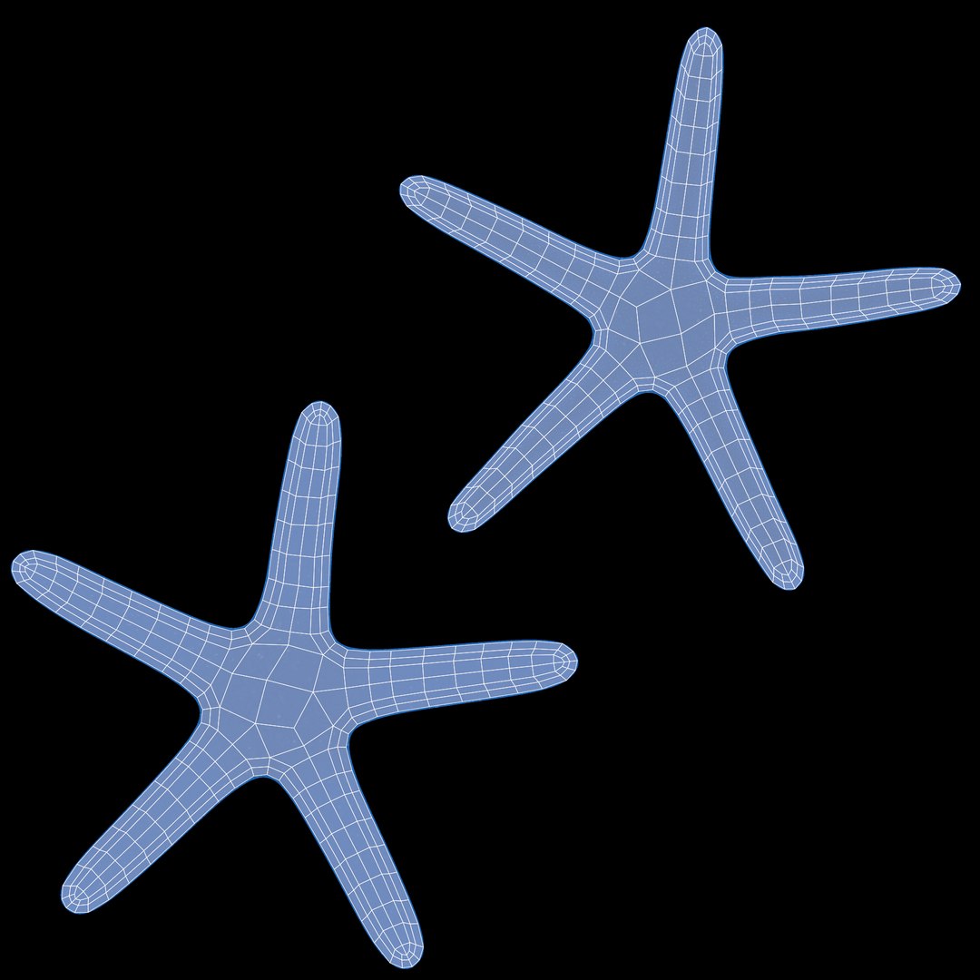 starfish star fish 3D https://p.turbosquid.com/ts-thumb/Ur/Q07h6n/ui/starfishesuvblue/png/1615907366/1920x1080/fit_q87/6e7d56a2d9898c50874ce0594bc948944f00cbc1/starfishesuvblue.jpg
