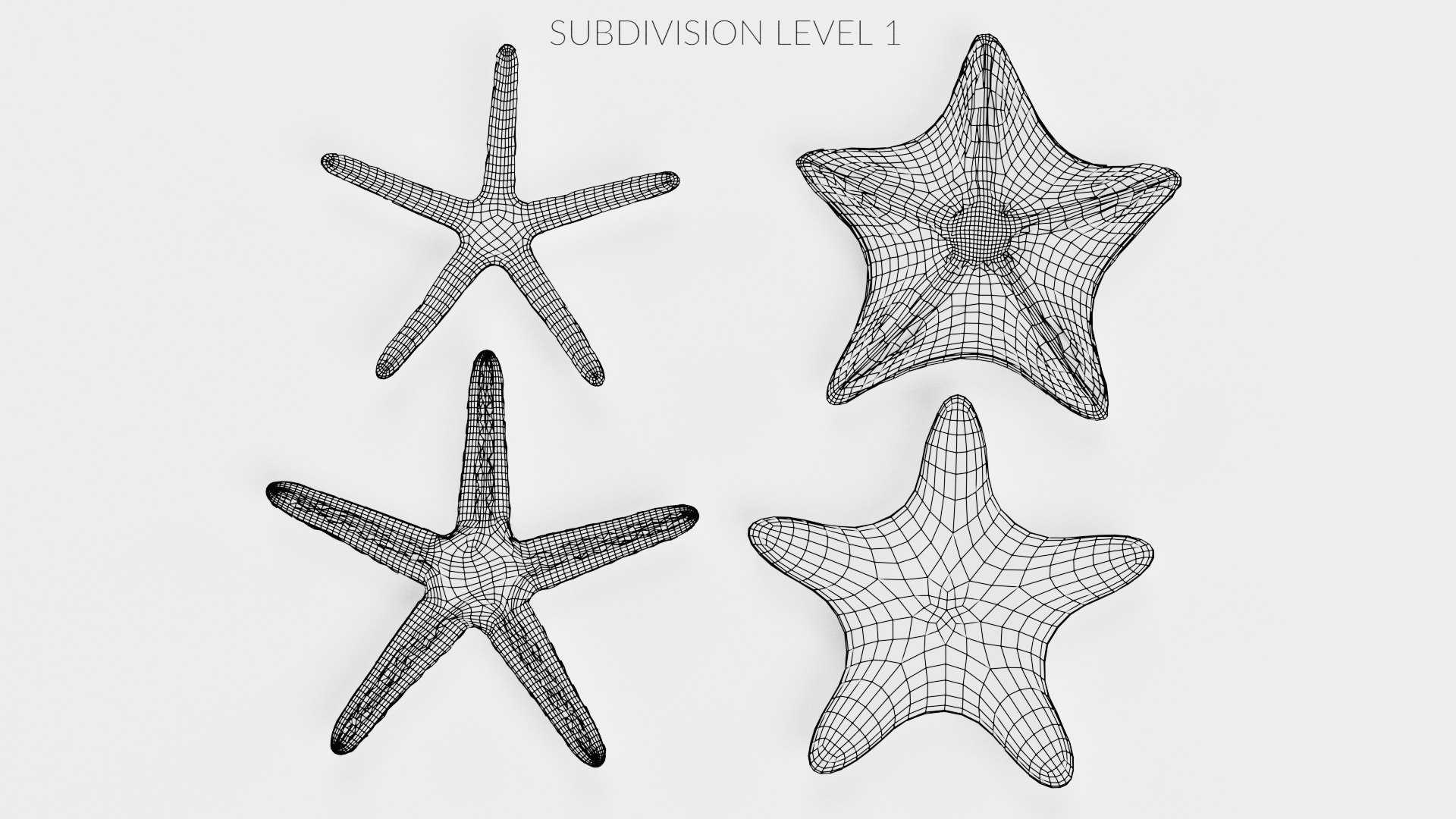starfish star fish 3D https://p.turbosquid.com/ts-thumb/Ur/Q07h6n/yn/starfishesw3/png/1615907370/1920x1080/fit_q87/33651d924c5ea2011f8bb51ad68128a629e3648a/starfishesw3.jpg