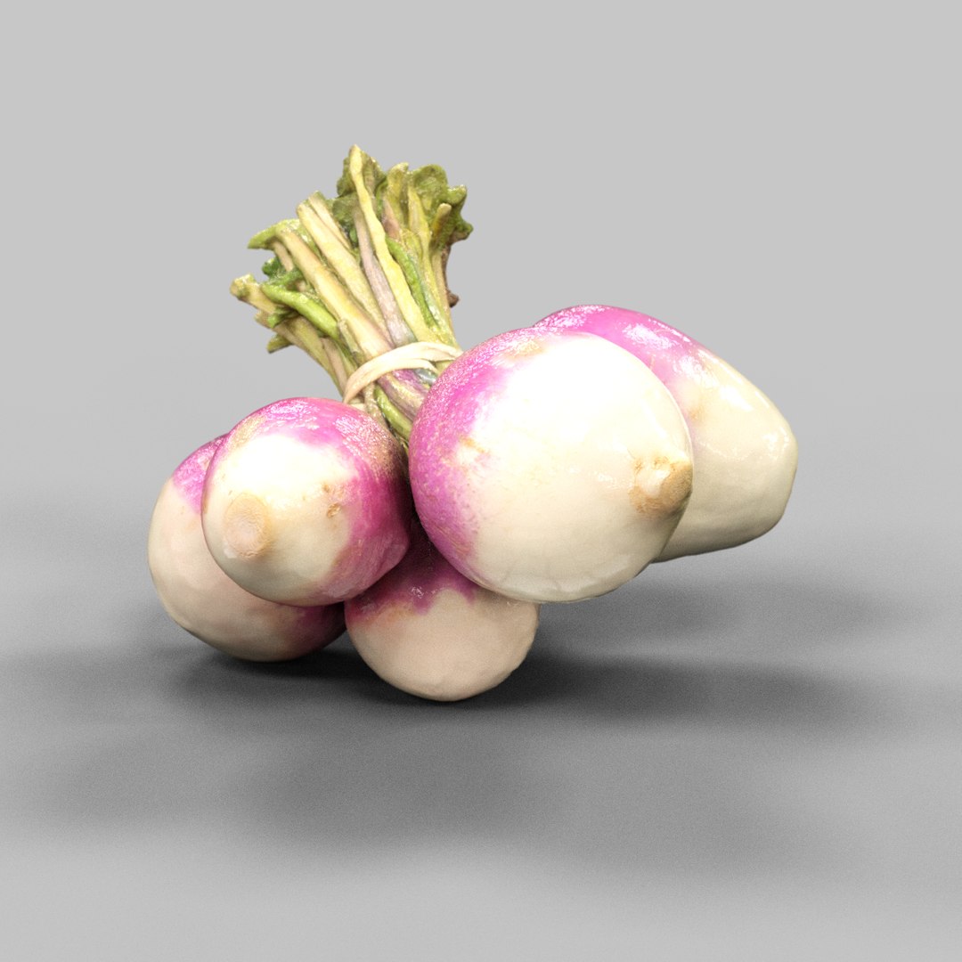 Raap Food 3d Obj