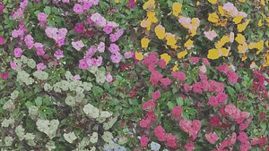 Flowers bush bundle - scanned Low-poly 3D model