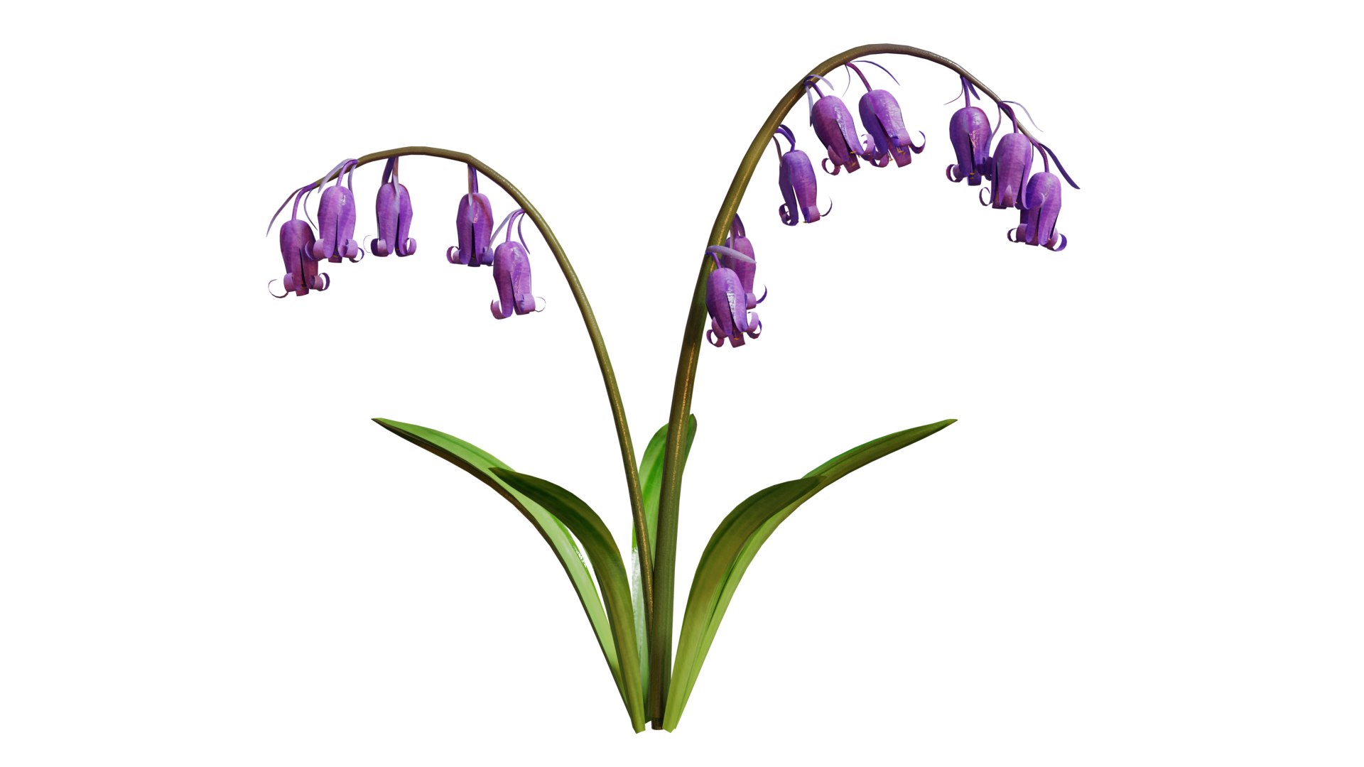 Blue Bell Flower 3D Model TurboSquid 1757111