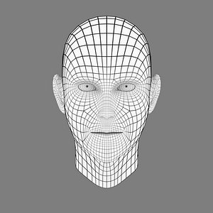 Stylized Head Base Mesh