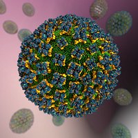 Hantavirus