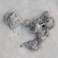 Rock 3D Scan 14
