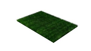 3D model grass plant