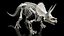 Triceratops Skeleton