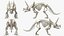 Triceratops Skeleton